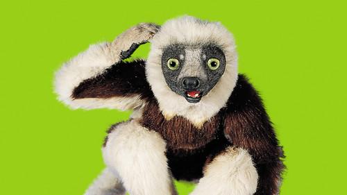 Zoboomafoo filmas žiurėti online