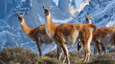 Septyni pasauliai, viena planeta