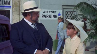 The Flying Nun