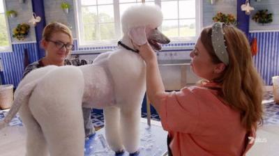 Pooch Perfect
