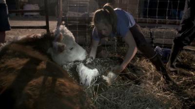 Dr. Oakley, Yukon Vet