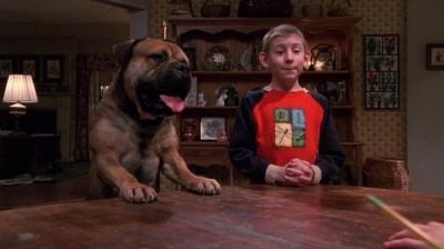 Malcolm in the Middle