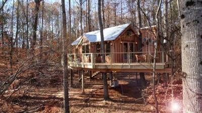 Treehouse Masters