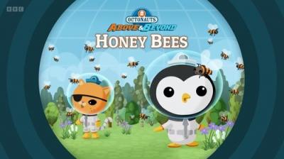Octonauts: Above & Beyond