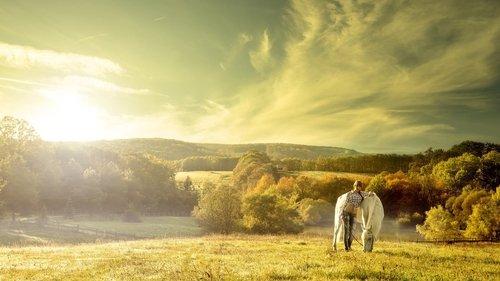 Riding High filmas žiurėti online