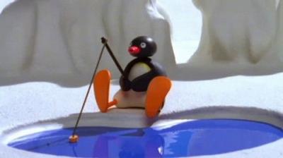 Pingu