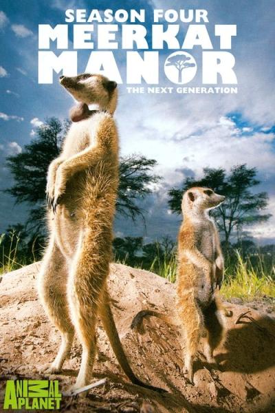 Meerkat Manor filmas online