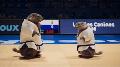 Les Marmottes