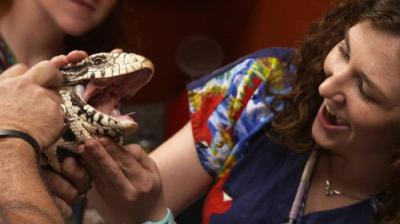 Dr. K's Exotic Animal ER