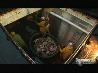 Deadliest Catch
