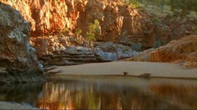 Natural World