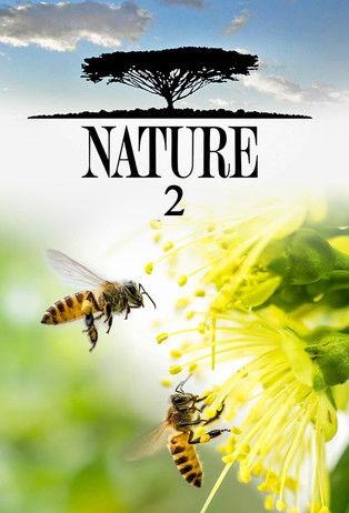 Nature filmas online