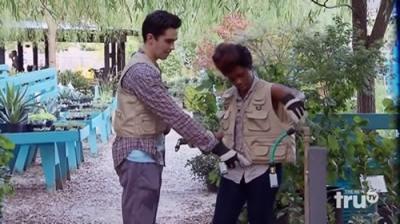 The Carbonaro Effect
