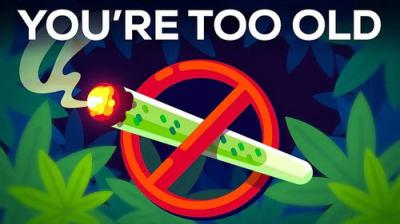 Kurzgesagt - In a Nutshell