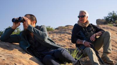 Bošas. Naujas skyrius