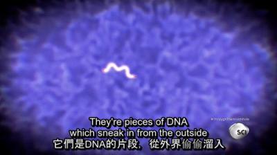 Didžiosios Visatos Paslaptys su Morganu Frimanu