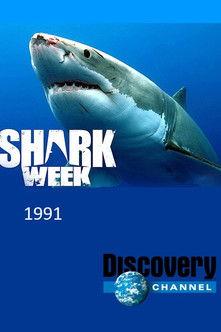 Shark Week filmas online