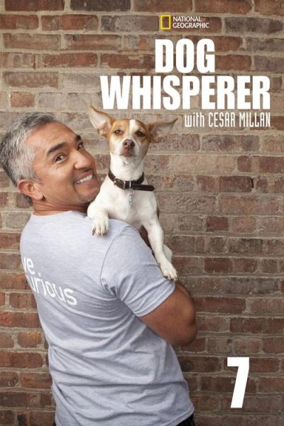 Dog Whisperer filmas online