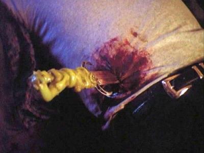 Kung Fu: The Legend Continues