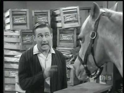 Mister Ed