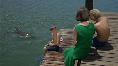 Flipper