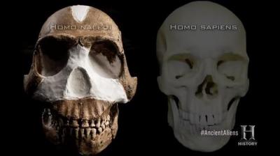 Ancient Aliens