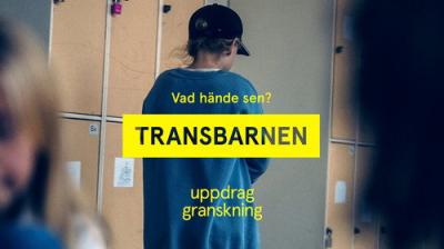 Uppdrag granskning sommar