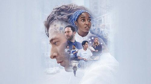 Meškinas filmas žiurėti online