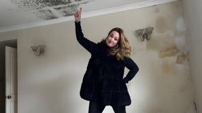 Homes Under the Hammer
