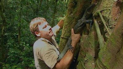 The Crocodile Hunter