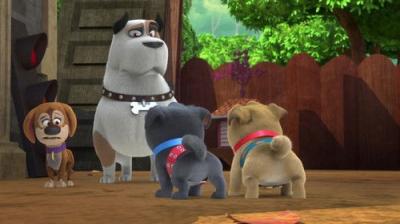 Puppy Dog Pals