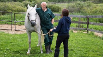 The Incredible Dr. Pol