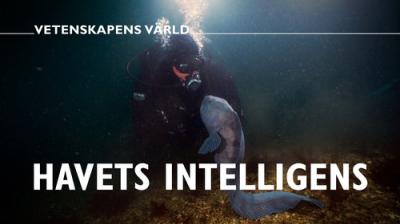 Vetenskapens värld
