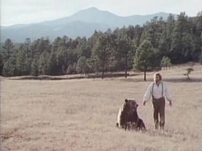 Grizzly Adams