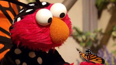 Sesame Street