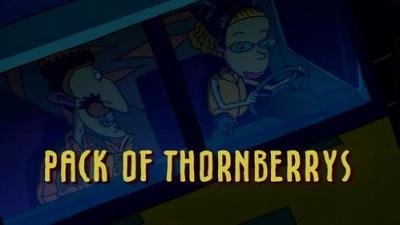 The Wild Thornberrys