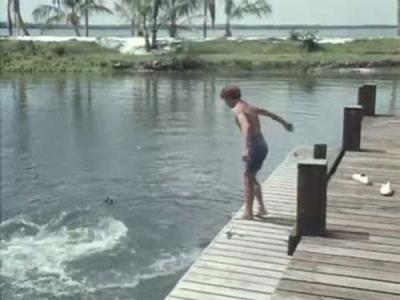 Flipper