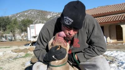 Pit Bulls and Parolees