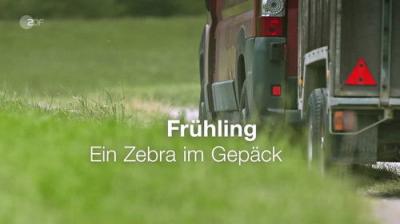 Frühling