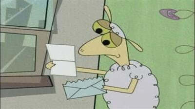 Sheep in the Big City