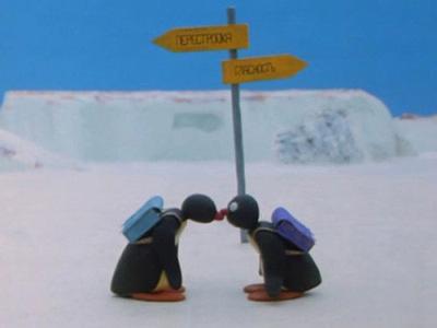 Pingu