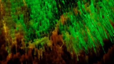 Journey to the Microcosmos