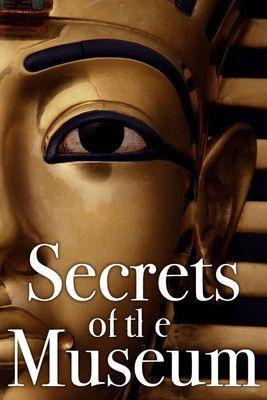 Secrets of the Museum filmas online