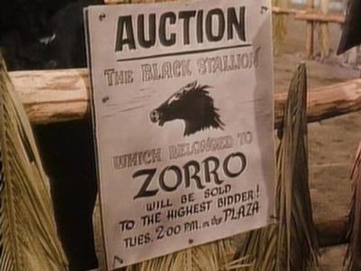 Zorro