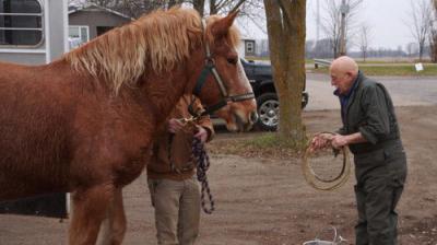 The Incredible Dr. Pol