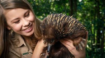 Crikey! It's the Irwins