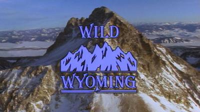 Marty Stouffer's Wild America