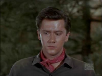 Bonanza