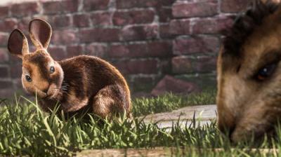 Watership Down