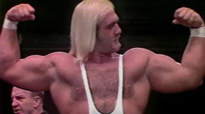 WWF All-Star Wrestling